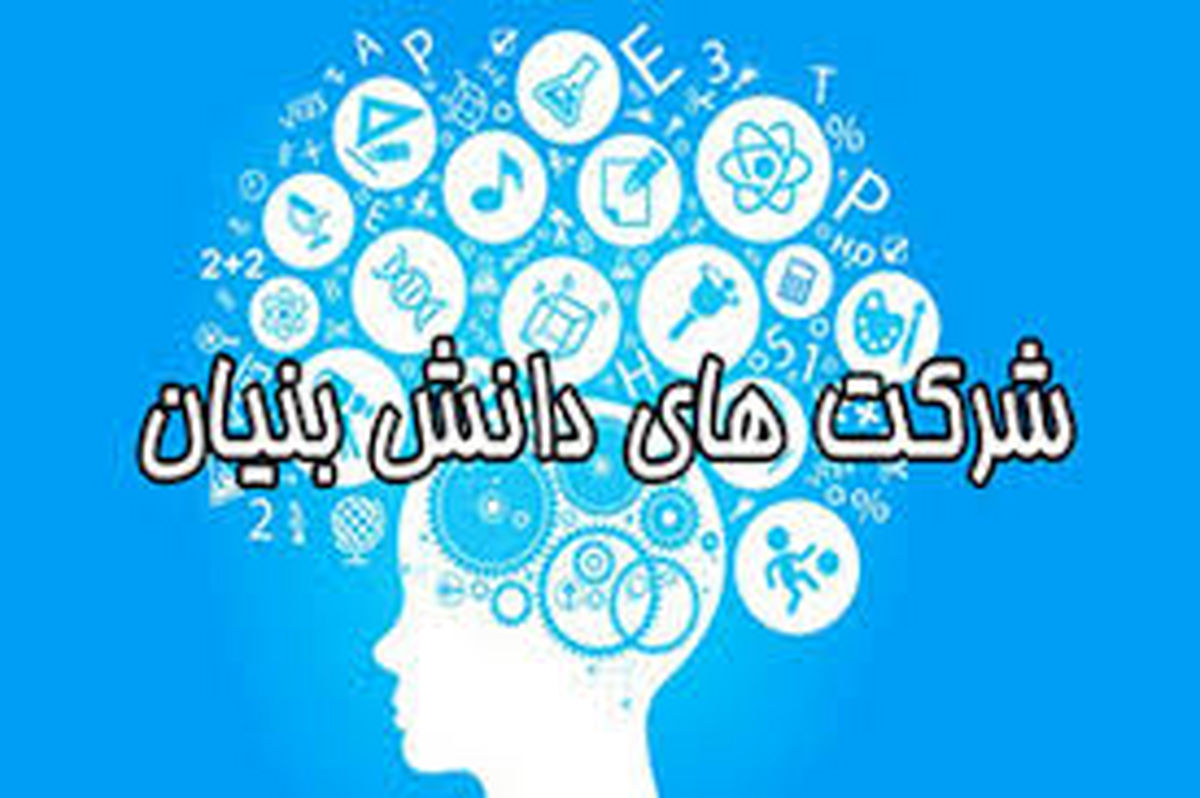 احیای شرکت‌های دانش‌بنیان با حمایت ویژه بانک ملی ایران 