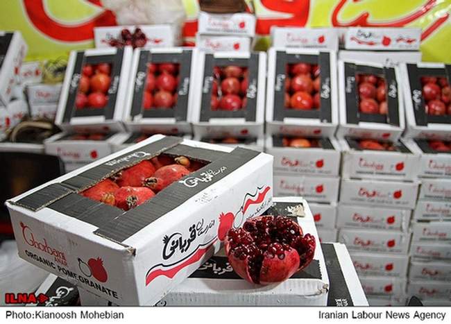 خرید شب یلدا در مصلی تهران