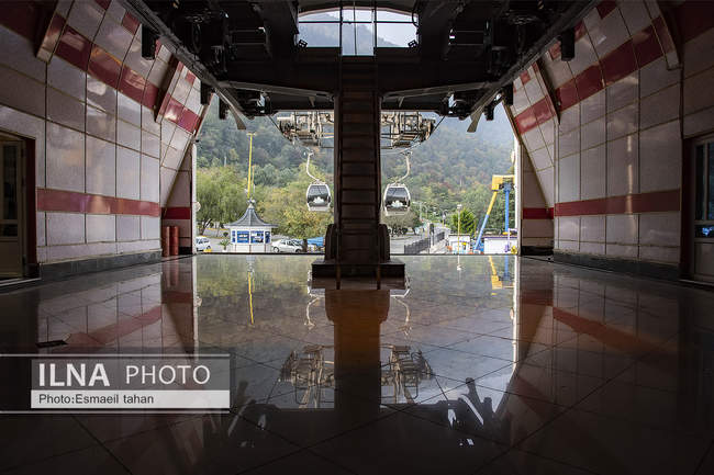 چشم انداز جنگل و دریا در قاب طبیعت