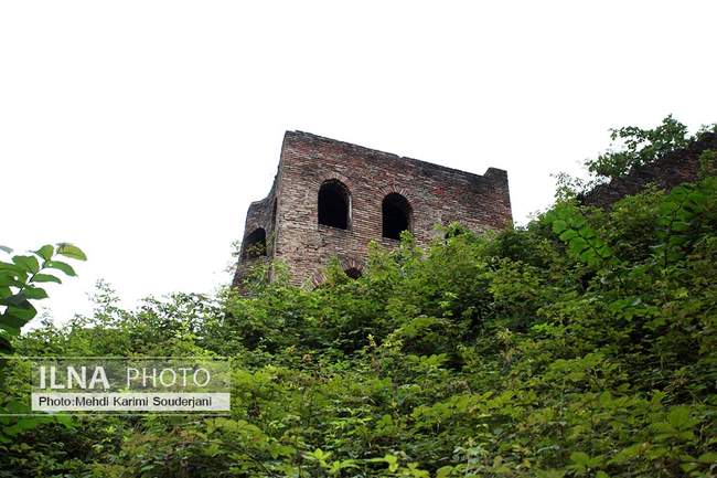 IMG_1961 copy