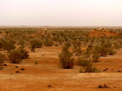 آغاز اقدامات عملیاتی مشترک ایران و عراق برای تثبیت کانون‌های گرد و غبار 