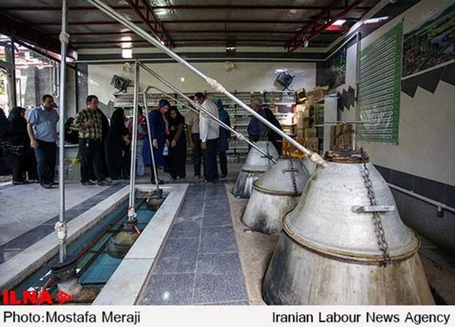 اینجا قمصر است، پایتخت گل و گلاب ایران