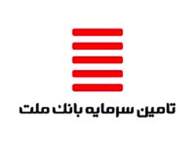 نگاهی به فعالیت ماهانه شرکت تامین سرمایه بانک ملت