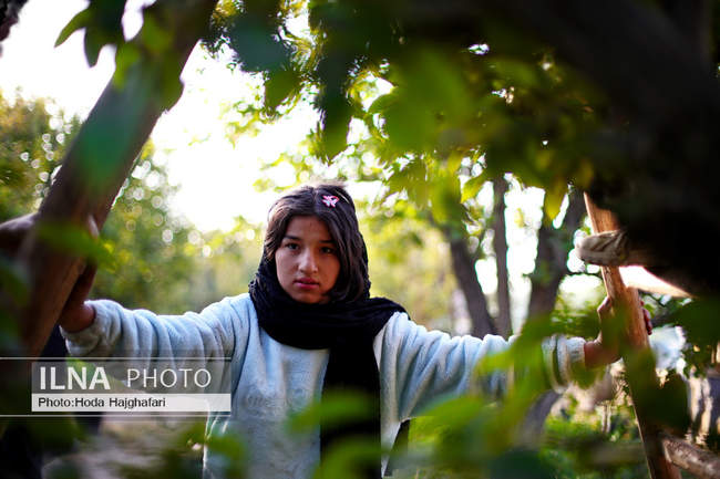 برداشت گلابی از باغات چناران
