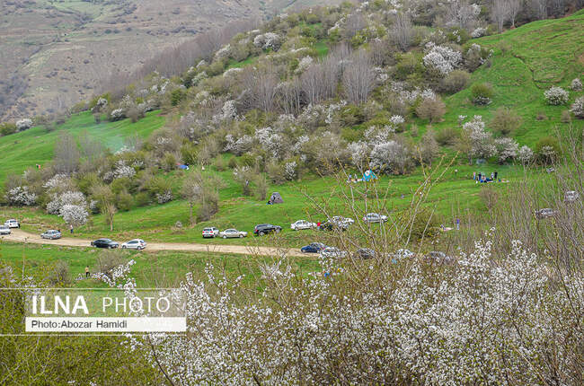 طبیعت بهاری رودبار گیلان
