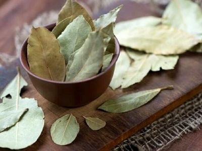 لاغری فوری با برگ بو 