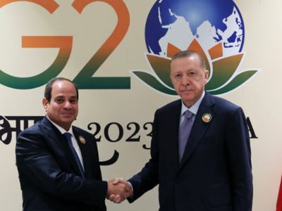 اردوغان استوارنامه سفیر مصر را دریافت کرد
