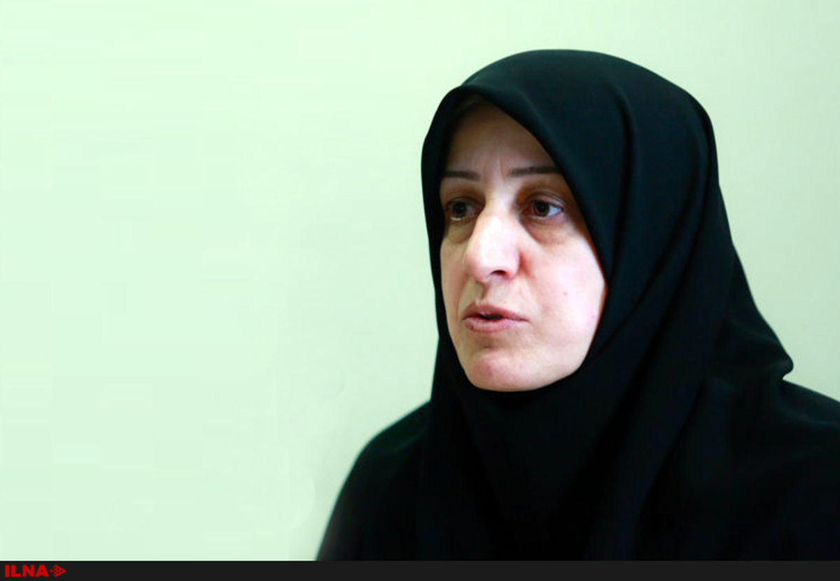 گرایش‌های فمنیستی به اندازه حقوق مردسالارانه نارسایی دارد/لایحه امنیت زنان در رفع خشونت علیه آنان موثر است