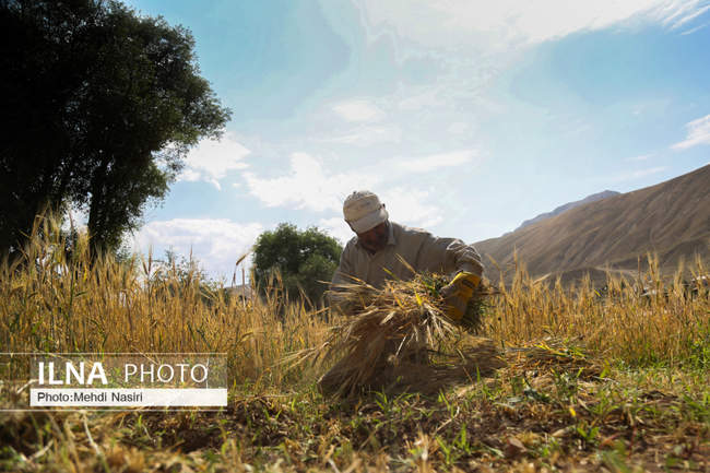 روستای لزور فیروزکوه