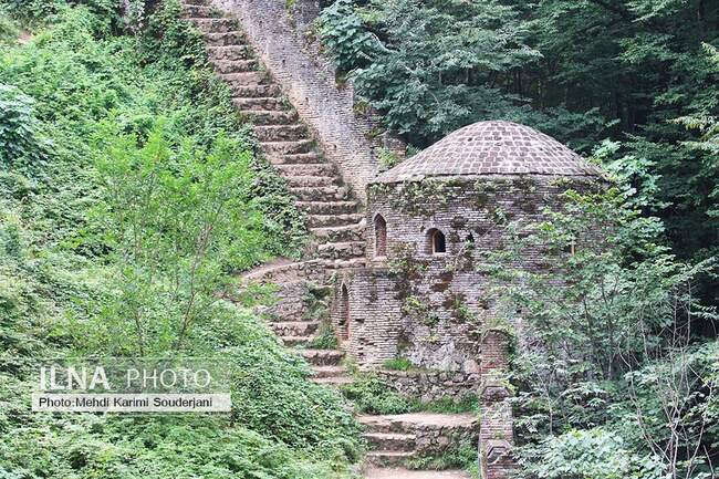 IMG_2771 copy
