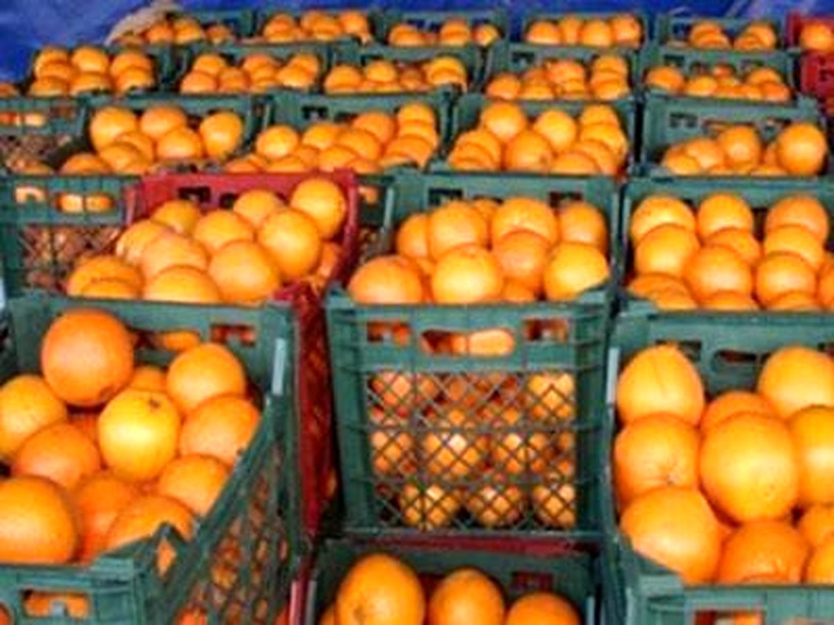 توزیع 180 تن میوه شب عید در گچساران/ کنترل و نظارت دقیق بر بازار و قیمت ها