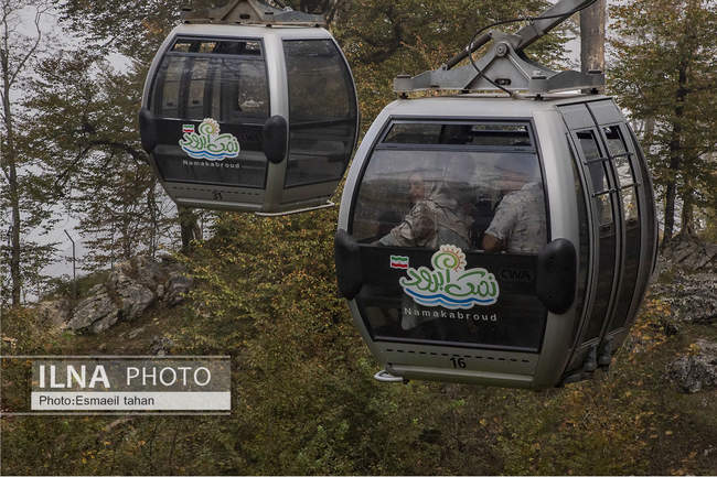 چشم انداز جنگل و دریا در قاب طبیعت