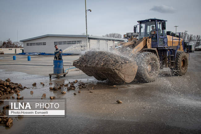 تولید ملی؛ برای فردای بهتر