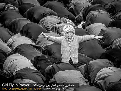 مدال طلای جشنواره فرانسوی به عکاس ایرانی رسید