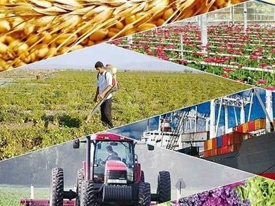 محوری‌ترین فعالیت استان اقتصاد کشاورزی است 