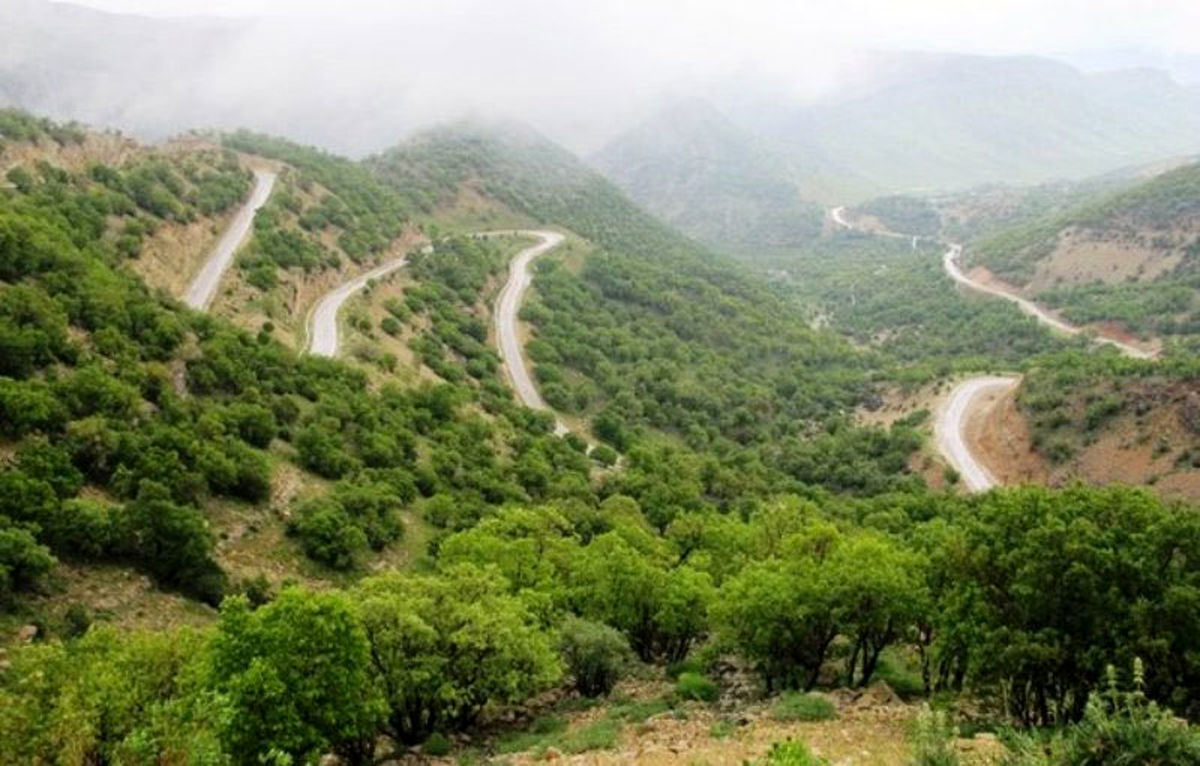 اعتبار ۶۰۰ میلیاردی برای احیای جنگل‌های زاگرس