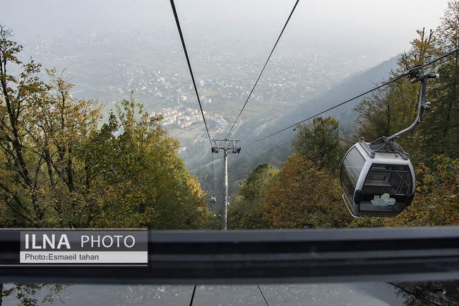 چشم انداز جنگل و دریا در قاب طبیعت