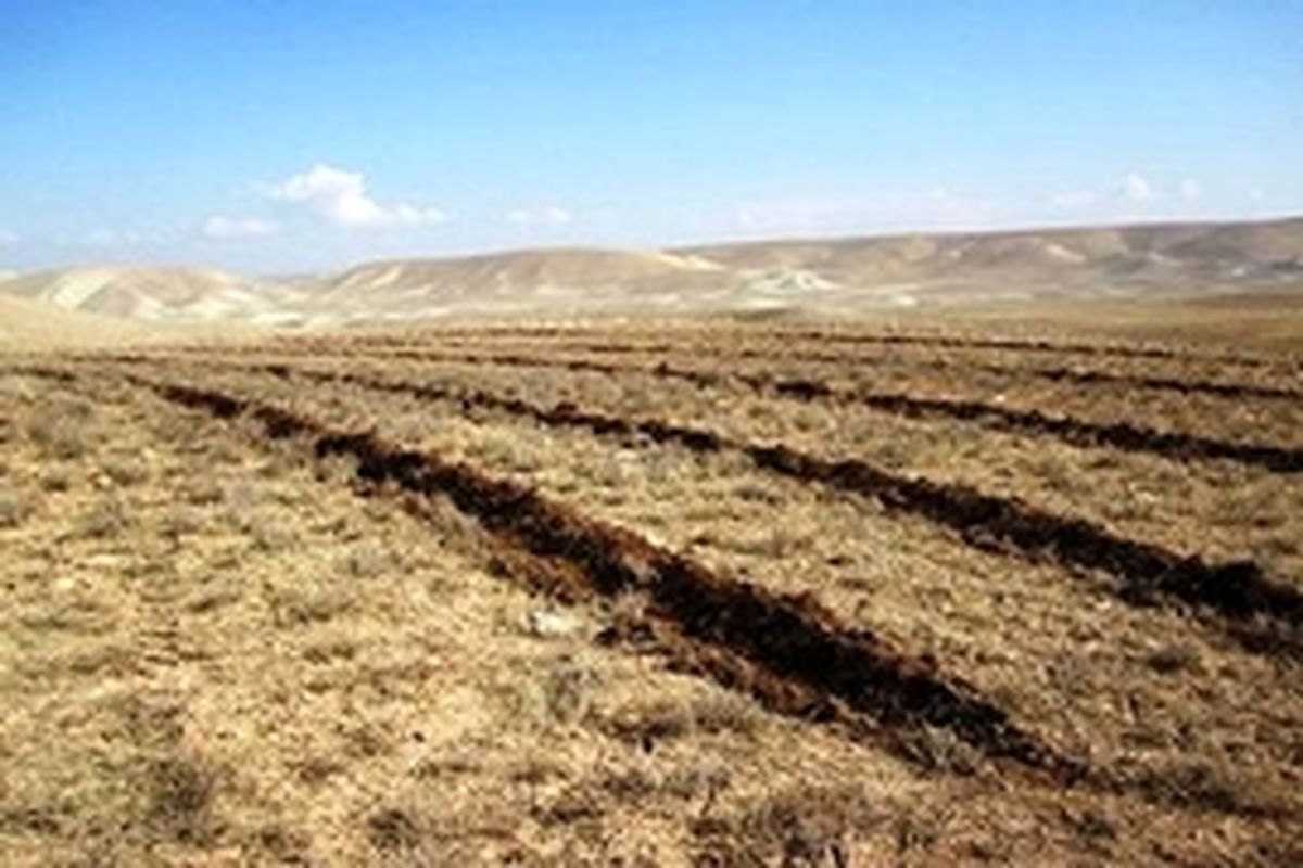 عملیات بیولوژیک در ۳ هزار هکتار از حوزه‌های آبخیز استان سمنان اجرا شد