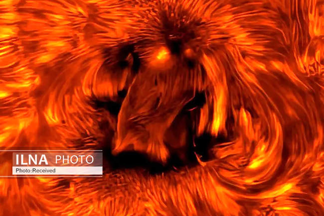 برندگان رقابت بین‌المللی «عکاس نجومی سال ۲۰۲۵»