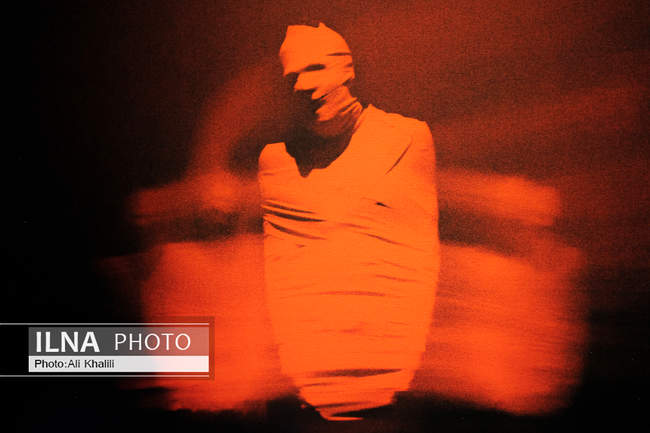 افتتاحیه نمایشگاه عکس «باله در تاریکی»