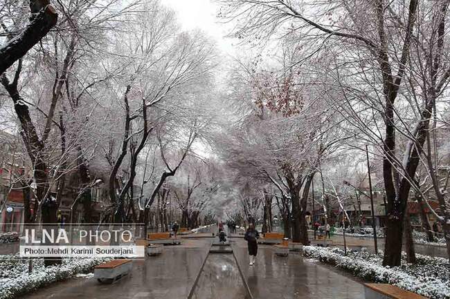 IMG_2102 copy