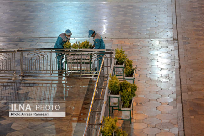 همه چیز مهیای شروع دوباره عاشقی در صحن و سرای دوست می‌شود