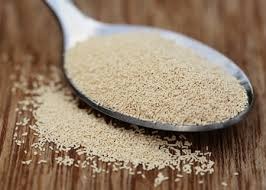 کاهش سهمیه اختصاصی خمیر مایه نانوایان آذربایجان غربی/نانوایان در مصرف خمیرمایه صرفه جویی کنند کاهش سهمیه اختصاصی خمیر مایه نانوایان آذربایجان غربی/نانوایان در مصرف خمیرمایه صرفه جویی کنند