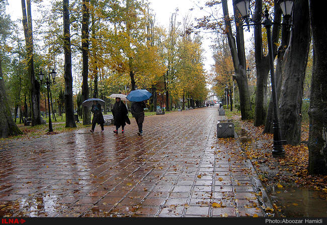 بارش باران در رشت