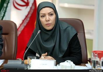 صدور ۲.۵ میلیارد دلار ضمانت‌نامه در یکسال اخیر/ به دنبال دو برابر کردن سرمایه صندوق هستیم/ رقابت سختی با همتایان ترک و عربستانی داریم