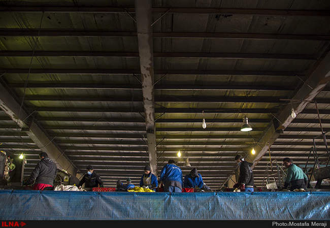 کارگران سایت پسماند زباله کهریزک تهران