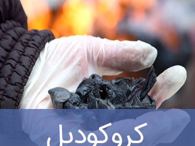 بلایی که ماده مخدر کروکودیل سر بدن می آورد + اینفوگرافیک