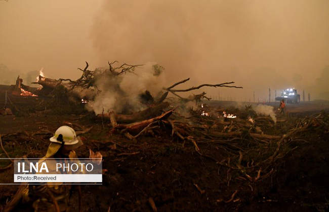 آتش سوزی گسترده در استرالیا