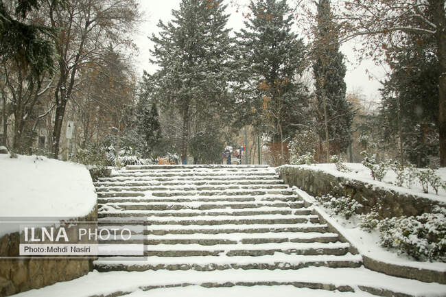 بارش برف در تهران