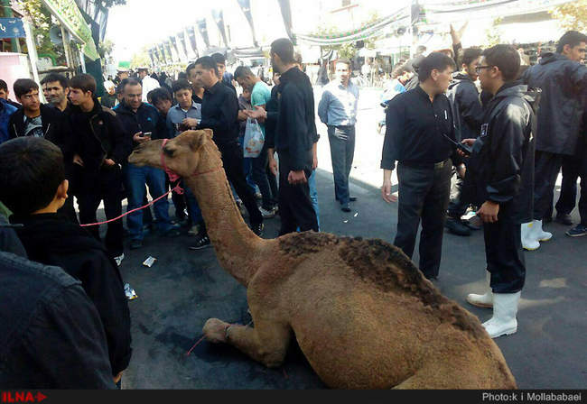 دسته عزاداری حسینیه اعظم زنجان