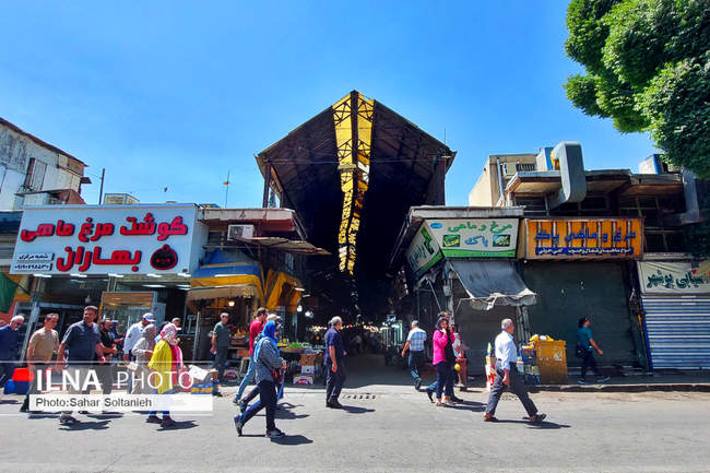 قزوین‌گردی عالی‌قاپویی‌ها به‌روایت تصویر