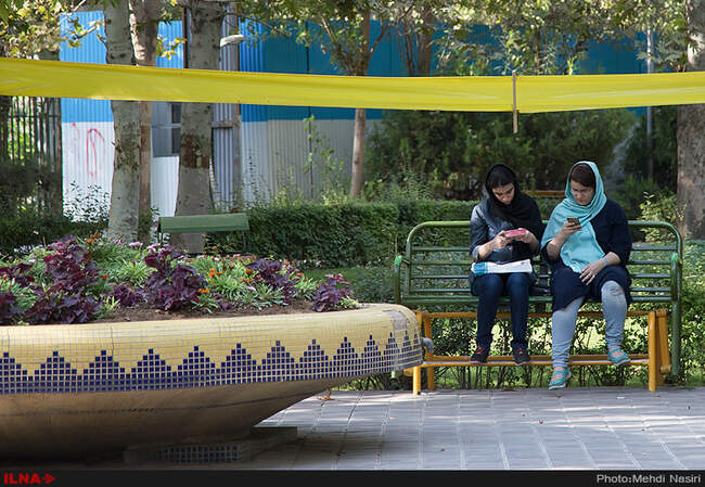خیابانهای تهران در تصرف سفید بالک ها