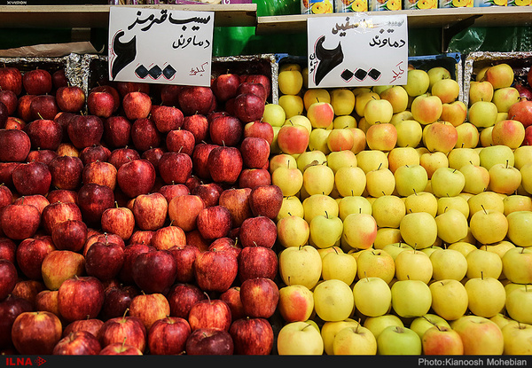 ٢٥ اسفند، آغاز توزیع میوه شب عید در استان تهران/ اجازه نمیدهیم نوسانات قیمت به مردم فشار بیاورد/ ذخیره سازی ٤٠ درصدی پرتقال در انبارهای تهران
