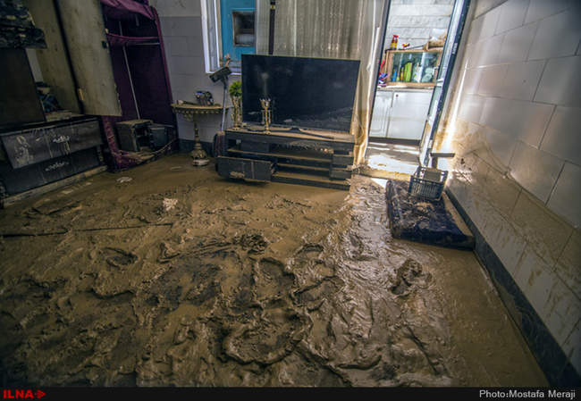 خانه به گل نشسته یک نوعروس؛ دستاورد دیگر شهرداری قم