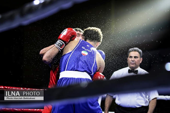 بیستمین دوره مسابقات قهرمانی بوکس کشور 