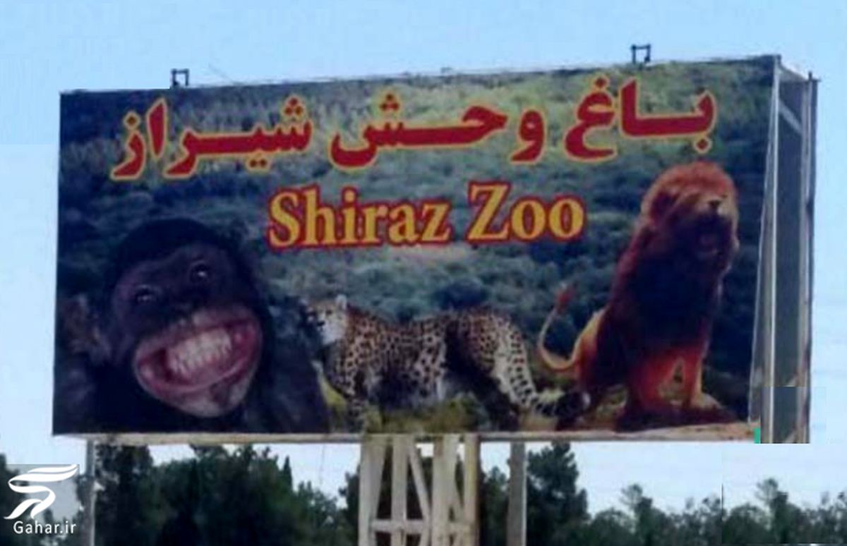 تنها باغ وحش شیراز در تنگنا/ هیچ حمایتی از باغ وحش شیراز نمی شود