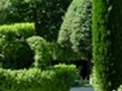۷۰ درصد باغات و فضای سبز تهران در محدوده حریم است