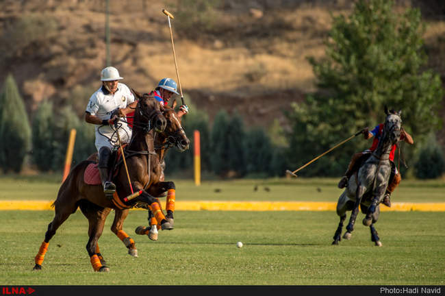مسابقات چوگان جام قهرمانی کشور ۱۳۹۵: نزاجا-قصرفیروزه