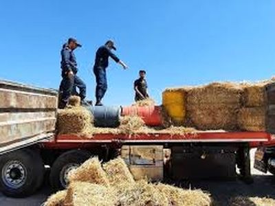  بیش از ۴۷ هزار لیتر سوخت قاچاق در قصرشیرین کشف شد 