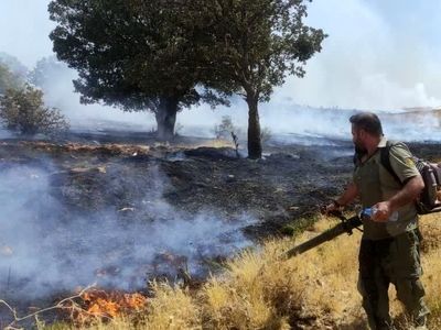 آتش سوزی مراتع جنگلی بخش گواور گیلانغرب را فرا گرفت
