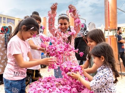 برای گلاب گیری کاشان به اراضی عباس‌آباد بیایید