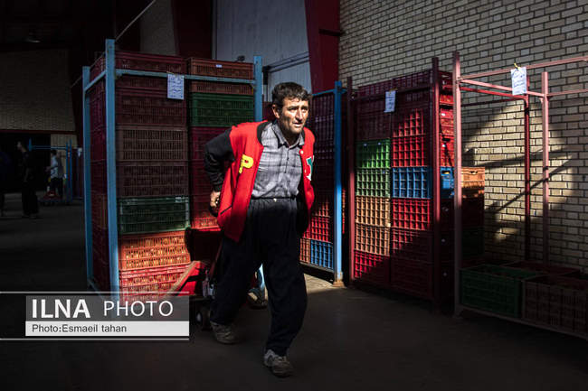 کار و امید، قصه زنان باغ کیوی