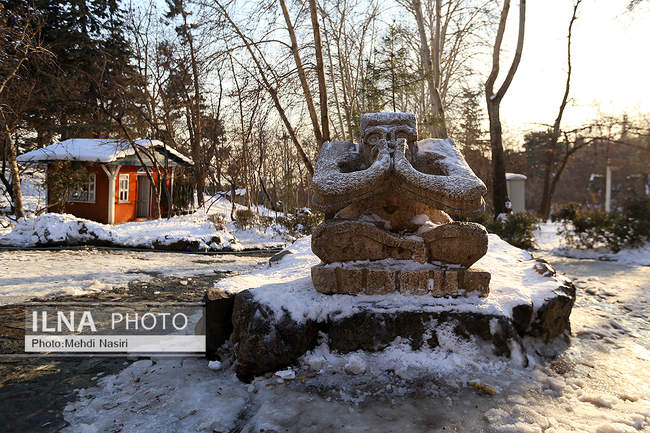 برف زمستانی پارک جمشیدیه