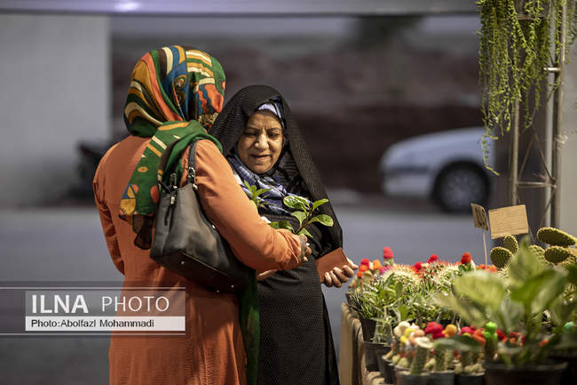 هشتمین نمایشگاه سراسری گل و گیاه در یزد