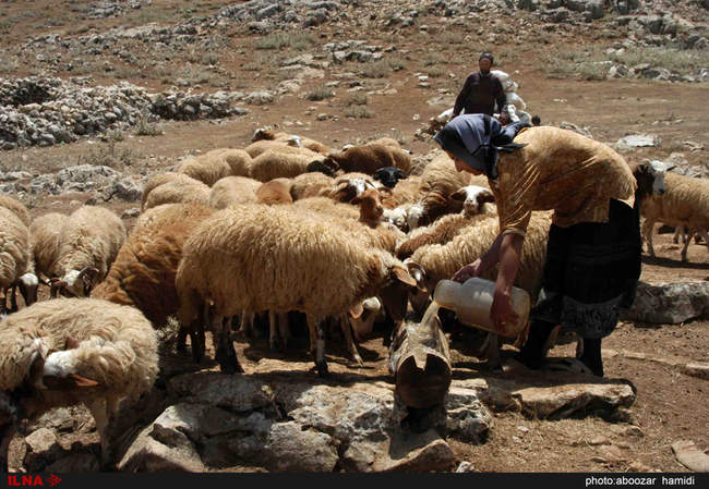 گذری بر بلندای بام گیلان (درفک) 