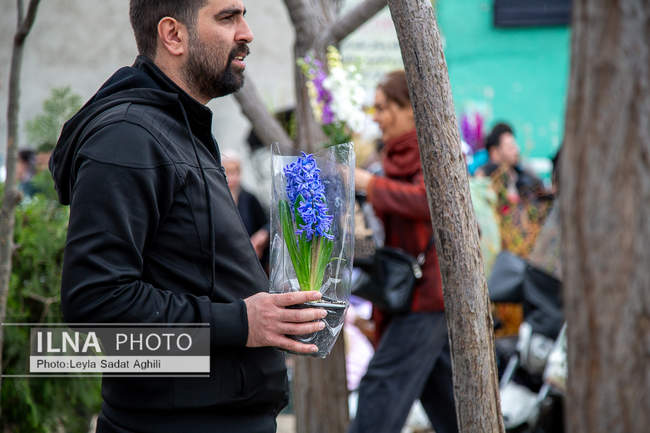 استقبال از نوروز 1405 در جنگ و امید